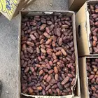 تمر مبروم