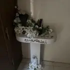 عربيه ملكة
