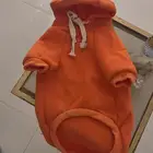 مستلزمات قطط