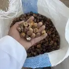 تمر حشف