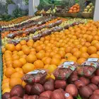 توصيل خضار وفواكه بسعر الجملة