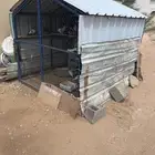 حمام