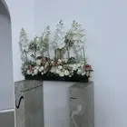 دولاب ملكة