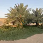 مزرعه للايجار
