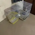 شبوك طيور نظيف ولله الحمد