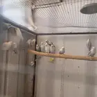 اجواز روز منتجه (( تم البيع ))