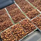 متوفر لدينا جميع انواع التمور