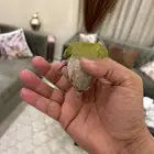كنيور آناناسه نعناع
