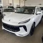 فورثنج 2023 اصفار مصدر لوحات