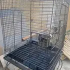 قفصان ببغاء جديده لي البيع