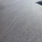 المدينة المنورة