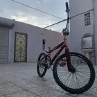 كوبرا للبيع
