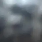 يوجد محل للتقبيل