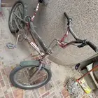 الاحساء