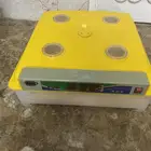 فقسه
