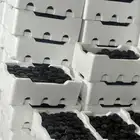 عجوه رطب