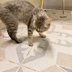 بسه بيت ضايعه بالحمدانيه