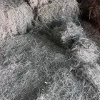 علف مخلوط برسيم وثيل وفيه نسبة لزاق