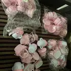 توزيعات مواليد