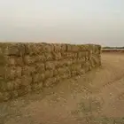 اعلاف بلوبنك 15.5 ريال