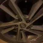 جنوط النترا