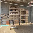 حمام بلجيكي وصنعاني وذكر رقاص