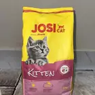 مستلزمات قطط للبيع