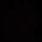 عنز معها جفره