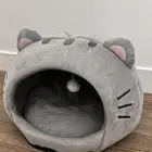 بيت للقطط