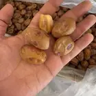 خلاص اشيقر