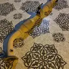 للبيع شكمان هايلوكس وكاله بشخلاته مافك فيه شي