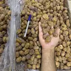 تمر خلاص فاخر