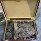 عود سيلاني طبيعي قديم