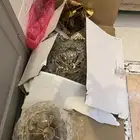 نجف كرستال جديد بسعر رخيص