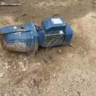 دينمو