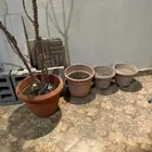حوض زراعه