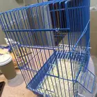 قفص طيور للبيع
