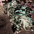حبال سطحات وابل وونش
