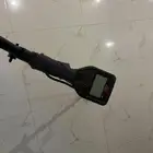 وحش الذهب