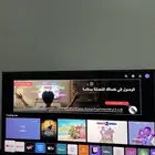 تلفزيون