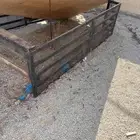 هنقل حق دادسون