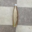 لقاح نخل انتاج هذي السنة 1446