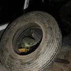 سلام عليكم بوالين ابو جمل 4 حبات نضيفه علا اسوم