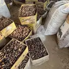 للبيع علف تمر ناشف خراف هذا السنة