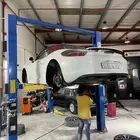 فرصه استثماريه