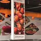 وكاله تكنيك للدعايه والاعلان