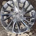 جنوط كولراي للبيع