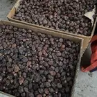 تمر ارزيز اسود نظيف وجاهز الي يبي يسوي فيه سفسيف ا