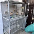 مطير لتربية اغلب الطيور