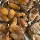 دقلة نور الجزائرية جديدة